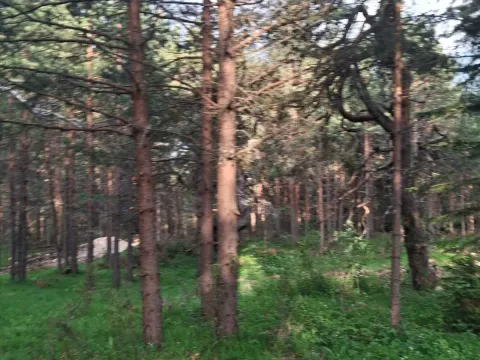 Prodaja, plac, 1150m², Žabljak, Crna Gora - image 10