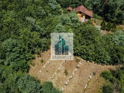 Sale, house, 70m², Niška Banja, Niš - image 29