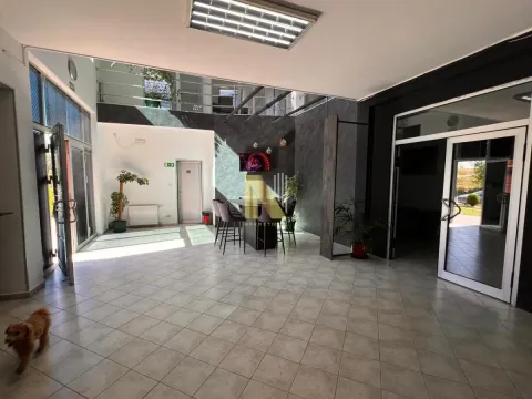 Rent, office space, 400m², Klisa, Novi Sad Sve Podlokacije - image 7