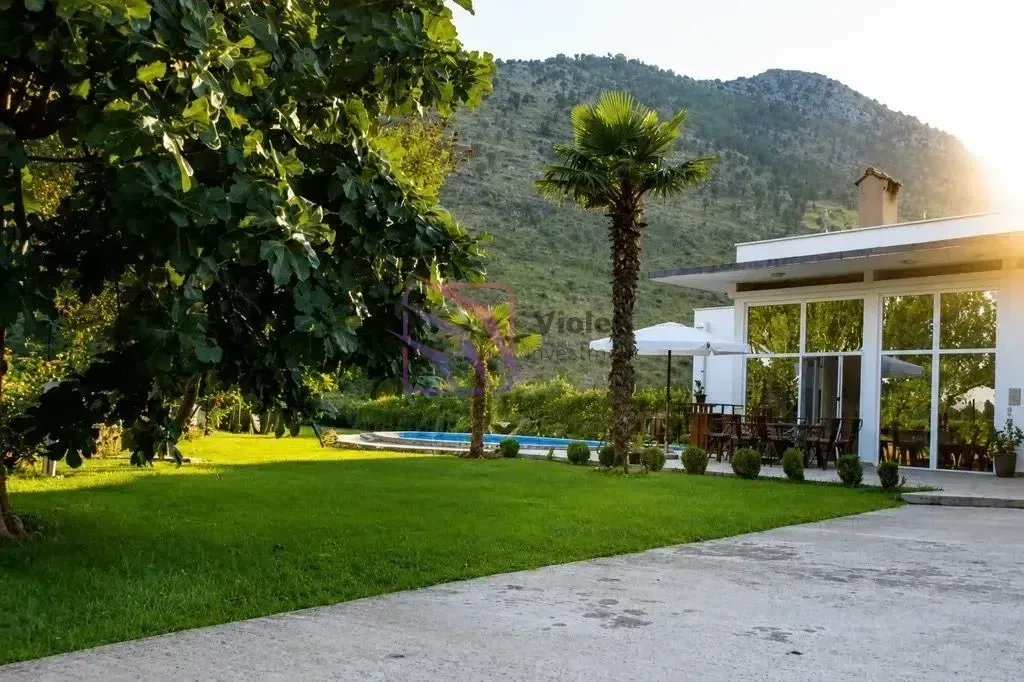 View of the yard with a lawn, swimming pool, and house in the background.