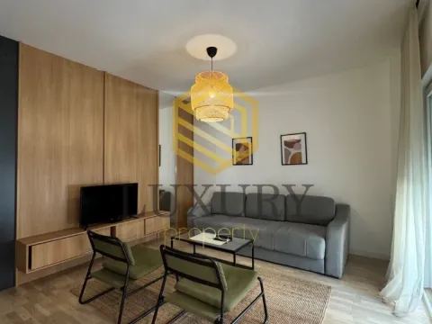 Izdavanje, jednosoban stan, 45m², Centar, Podgorica - image 10