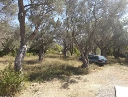 Prodaja, plac, 604m², Bar, Crna Gora