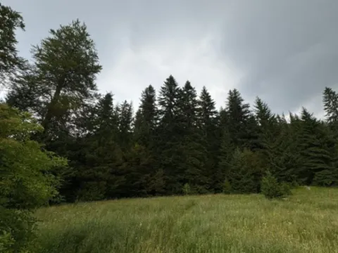 Prodaja, plac, 800m², Tara, Srbija - image 2