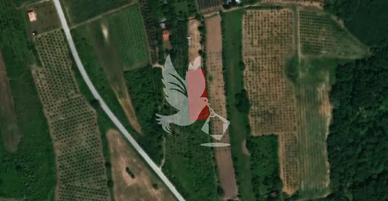 Prodaja, plac, 1000m², Dubona, Mladenovac