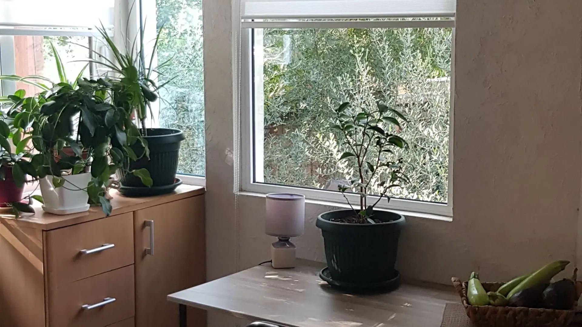 Sale, house, 65m², Kovači, Kotor