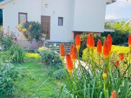 Prodaja, kuća, 102m², Jelenak, Danilovgrad - image 1