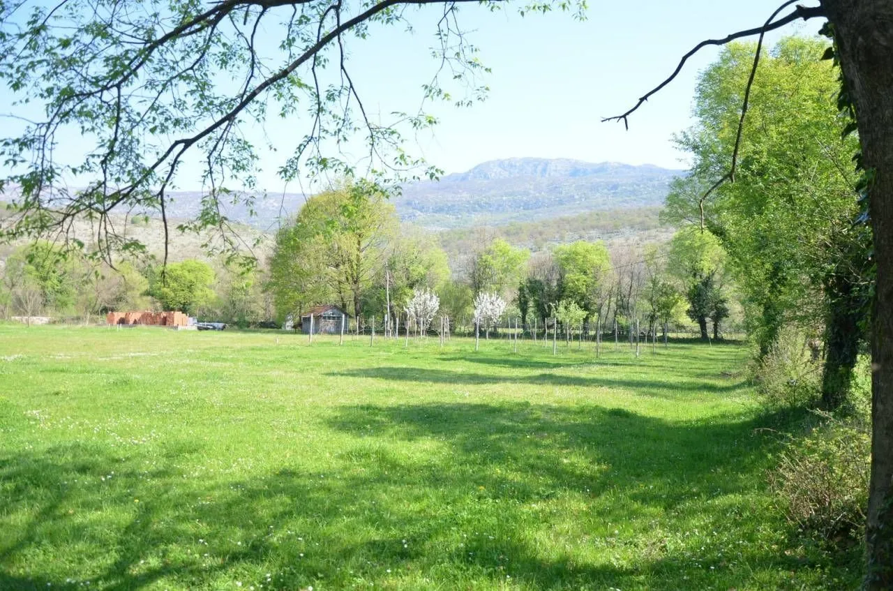 Zelena livada okružena drvećem i prirodom.