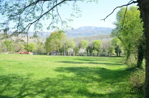 Zelena livada okružena drvećem i prirodom. - image 6