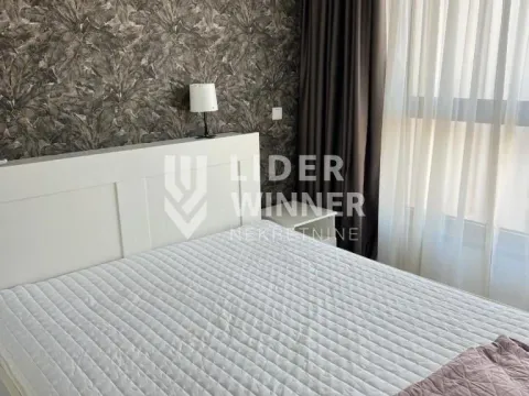 Izdavanje, dvosoban stan, 54m², Savski Venac, Beograd - image 11