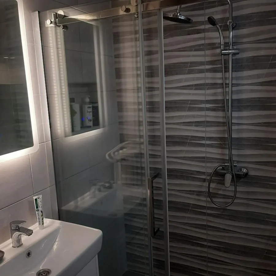 Izdavanje, dvosoban stan, 54m², Centar, Niš