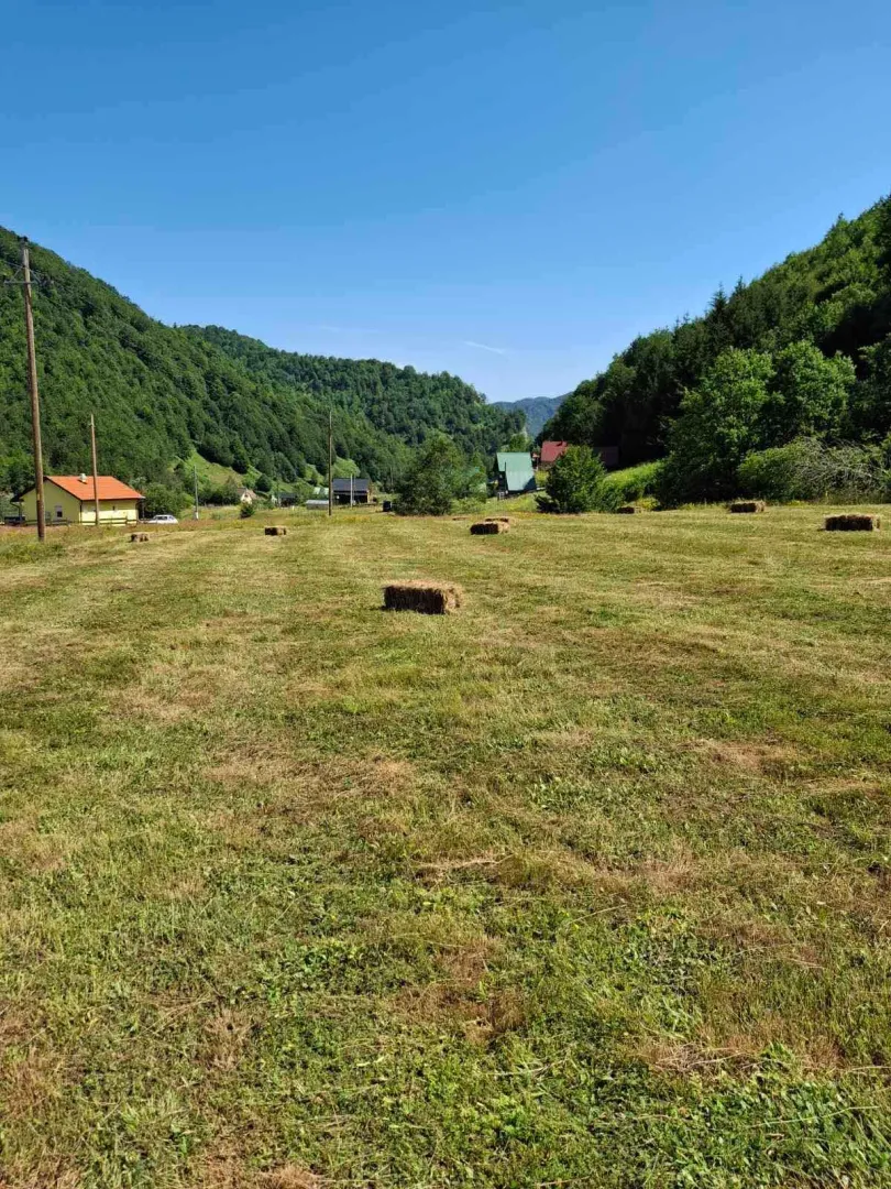 Prodaja, plac, 7000m², Veruša, Podgorica