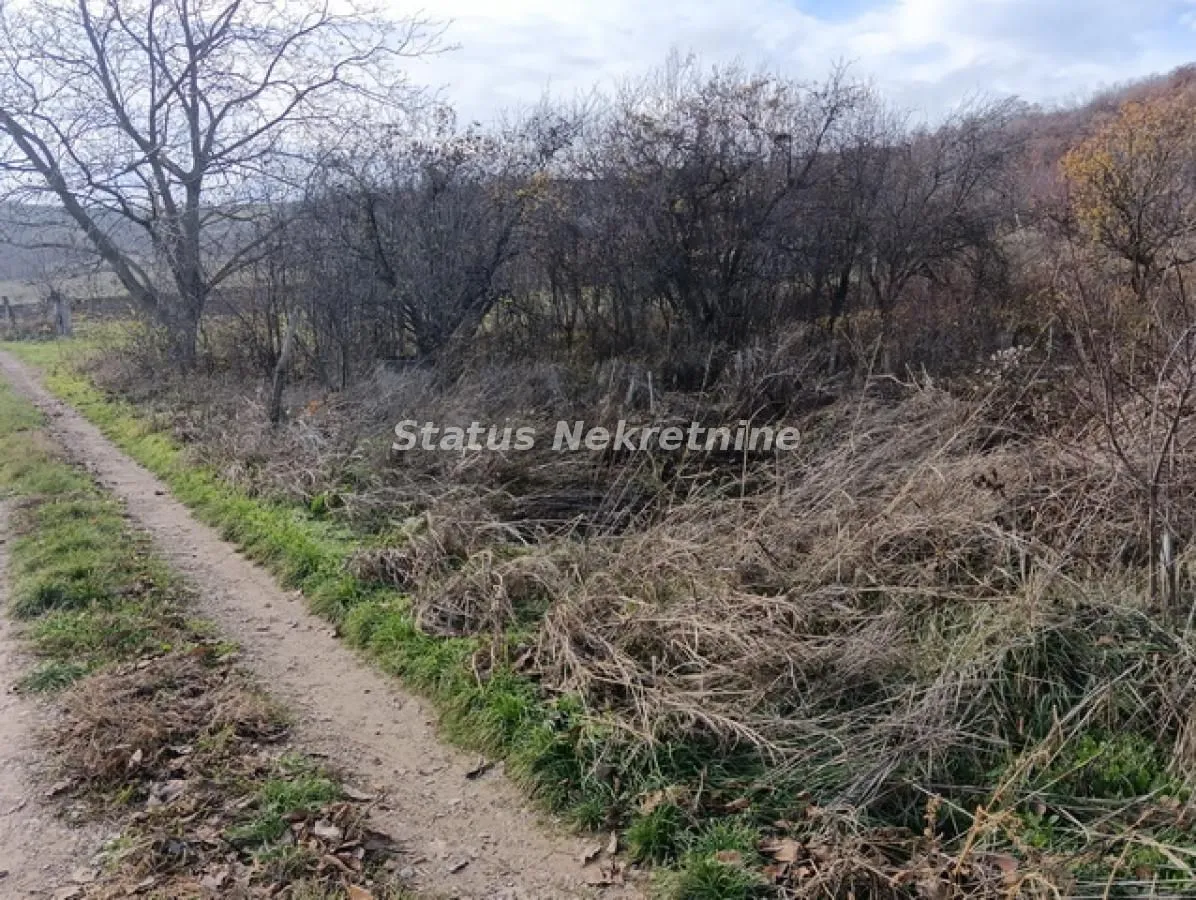 Zarasli plac sa stazom i drvećem prirode.