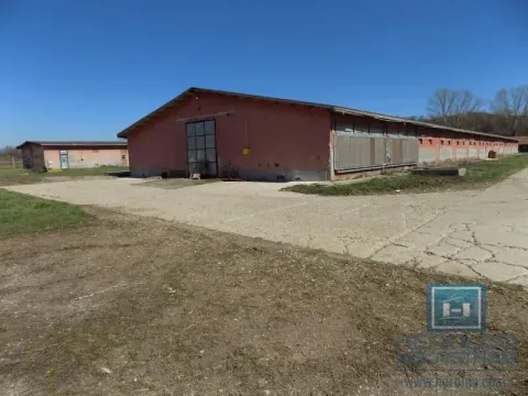 Sale, office space, 16723m², Boljevac, Srbija - image 44