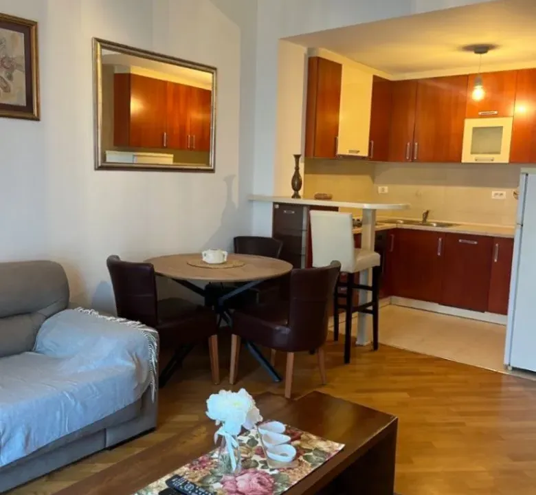 Izdavanje, jednosoban stan, 48m², Preko Morače, Podgorica