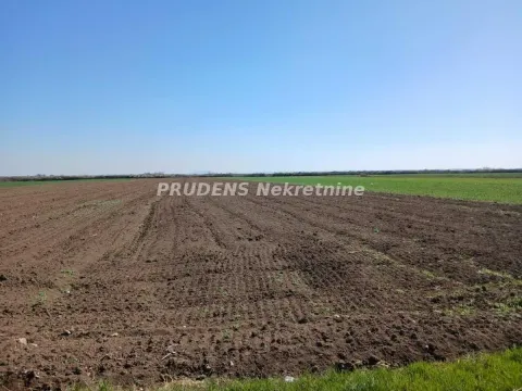 Sale, land lot, 201m², Petrovčić, Surčin - image 2