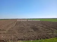 Prodaja, plac, 201m², Petrovčić, Surčin - image 2