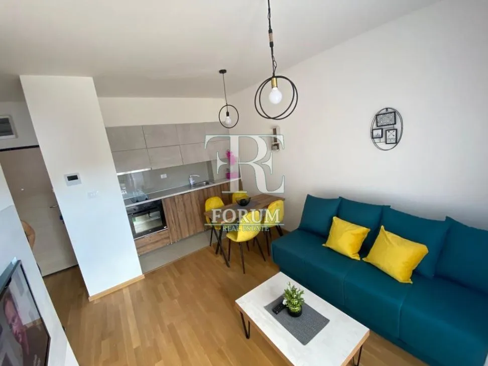 One Bedroom Apartment for Rent, 40m2, Velji Vinogradi, Budva