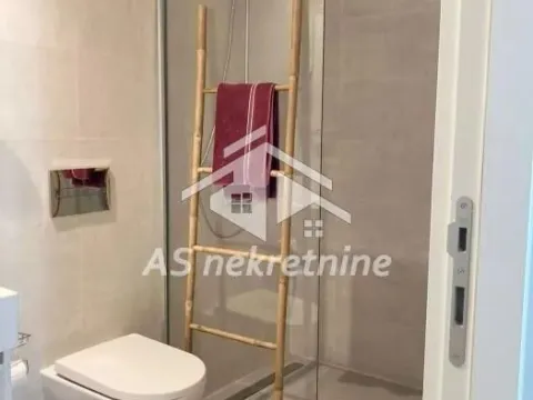 Izdavanje, dvosoban stan, 62m², Savski Venac, Beograd - image 9