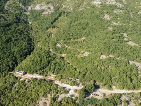 Prodaja, plac, 26417m², Čavori, Kotor - image 7
