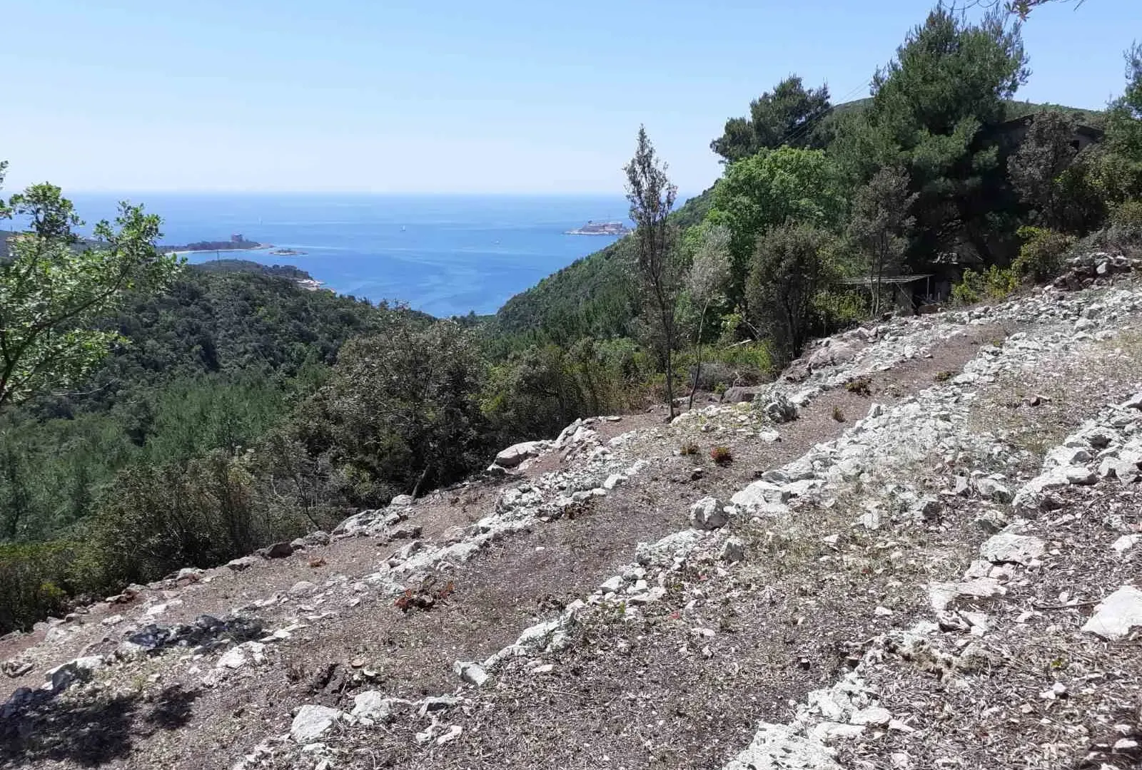 Prodaja, plac, 8000m², Herceg Novi, Crna Gora