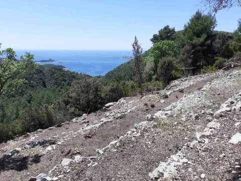 Prodaja, plac, 8000m², Herceg Novi, Crna Gora - image 3