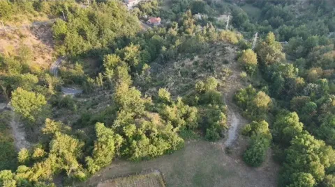 Pogled iz vazduha na zemljište okruženo šumom i zelenilom. - image 6