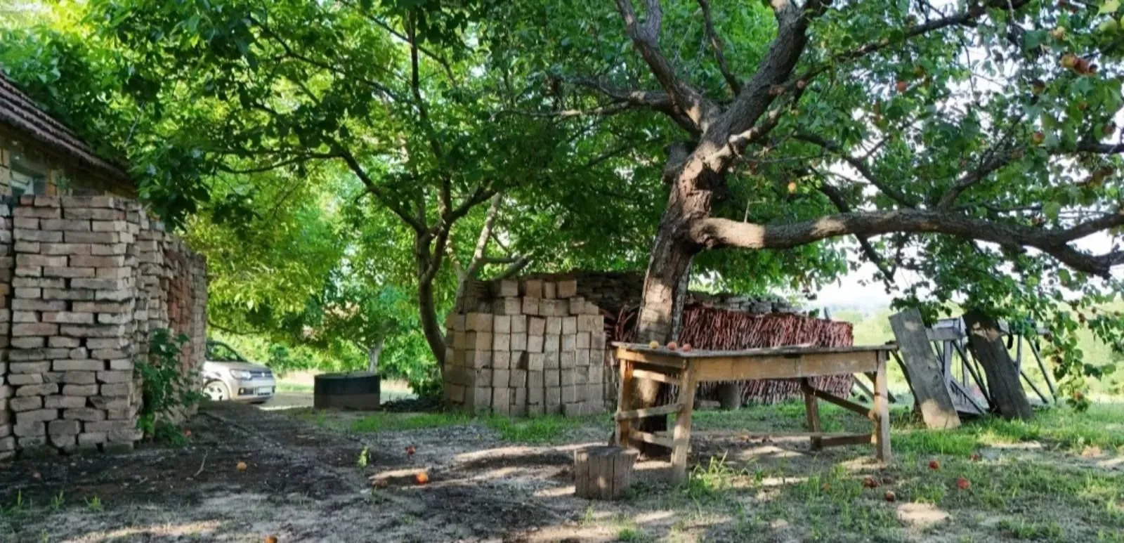 Prodaja, plac, 77000m², Krčedin, Inđija