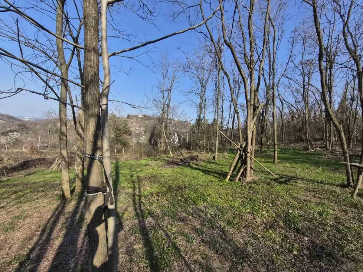 Prodaja, plac, 5000m², Sremska Kamenica, Petrovaradin