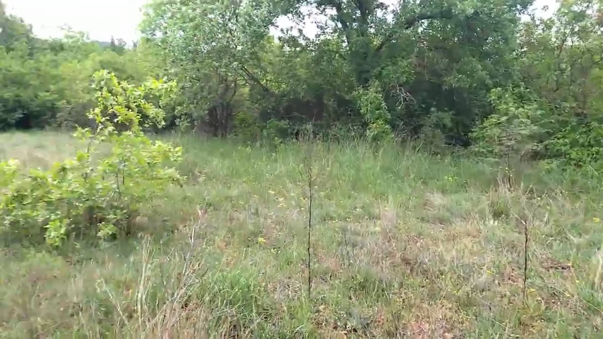 Prodaja, plac, 3493m², Barutana, Podgorica