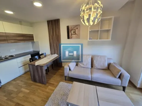 Izdavanje, jednosoban stan, 45m², Centar, Jagodina - image 2