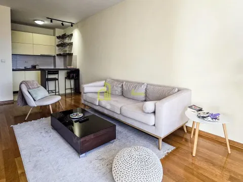 Rent, one bedroom apartment, 50m², Blok 9, Podgorica - image 4