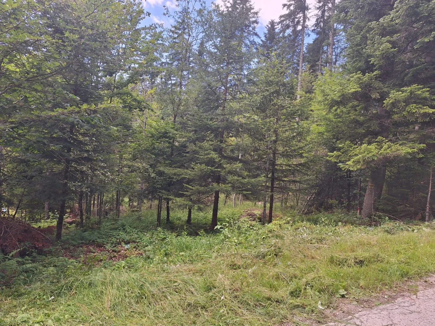 Prodaja, plac, 623m², Konjska Reka, Bajina Bašta