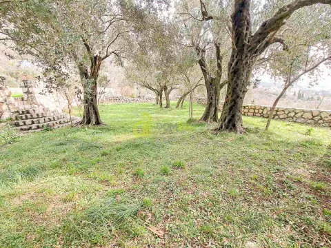 Sale, land lot, 26m², Sutomore, Bar - image 3