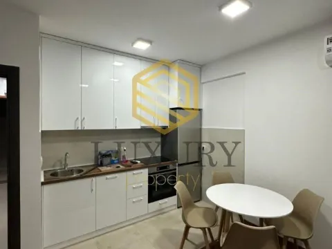 Rent, one bedroom apartment, 45m², Ljubović, Podgorica - image 6