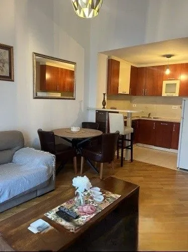 Izdavanje, jednosoban stan, 50m², Preko Morače, Podgorica