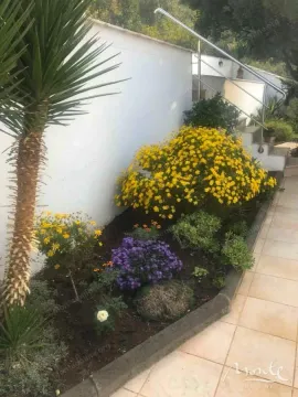 Landscaped courtyard with a pathway and a flower bed by the stairs. - image 12