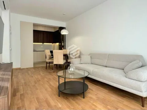 Izdavanje, jednosoban stan, 46m², Zabjelo, Podgorica - image 1