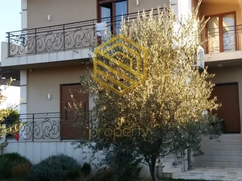 Rent, house, 262m², Zabjelo, Podgorica - image 5