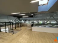 Izdavanje, poslovni prostor, 2000m², Voždovac Sve Podlokacije, Beograd - image 12