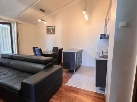 Rent, one bedroom apartment, 60m², Zabjelo, Podgorica - image 3