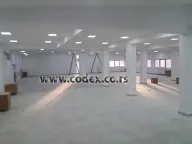 Izdavanje, poslovni prostor, 3300m², Altina, Beograd - image 1