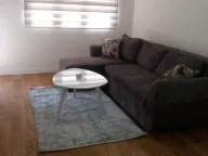 Izdavanje, jednosoban stan, 47m², Central Point, Podgorica - image 2