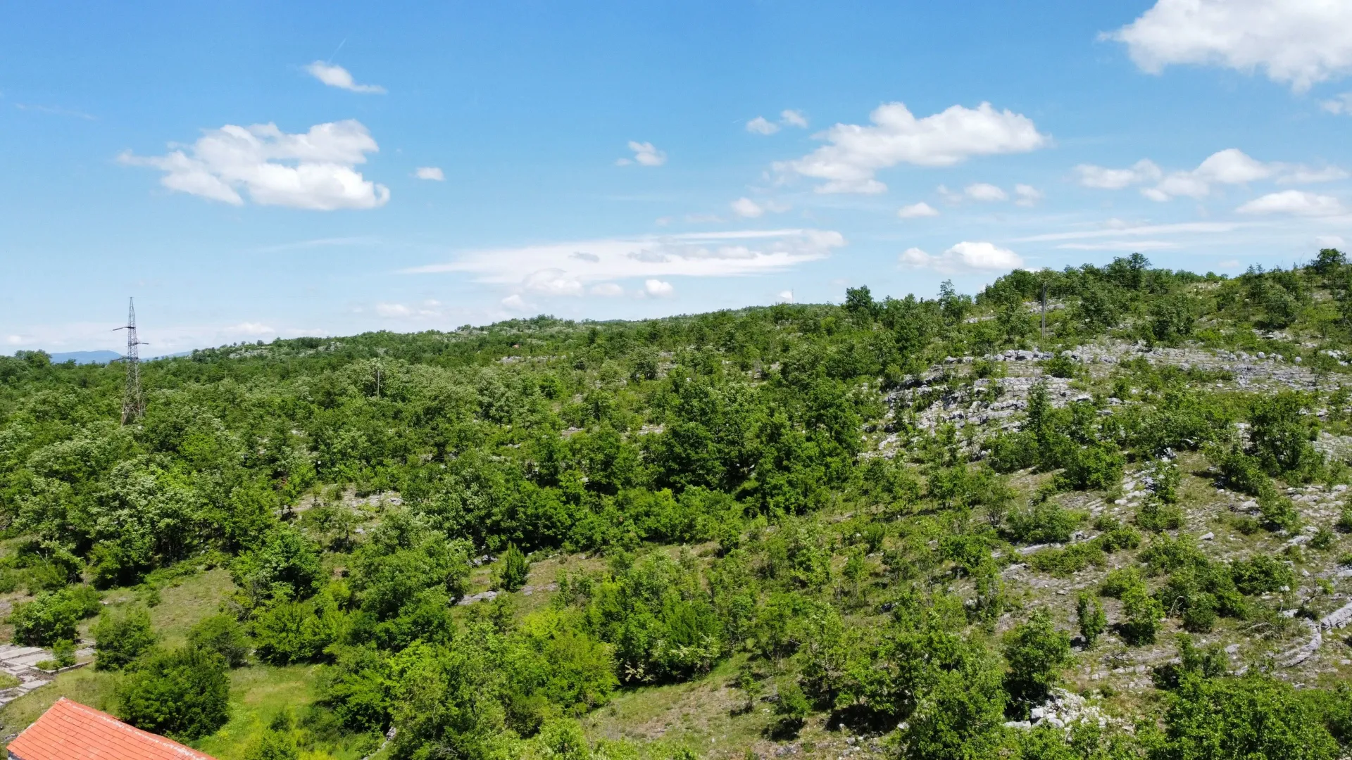 Prodaja, plac, 300000m², Rudine, Nikšić