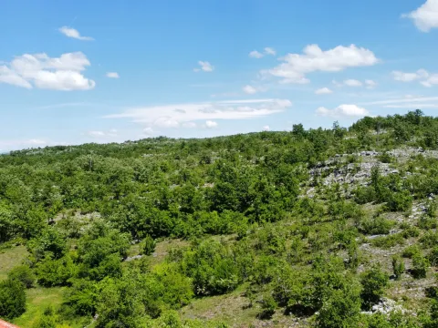 Prodaja, plac, 300000m², Rudine, Nikšić - image 4