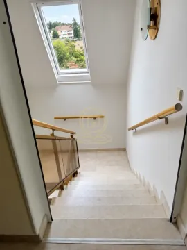 Rent, house, 360m², Zvezdara Sve Podlokacije, Beograd - image 8