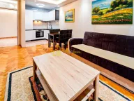 Izdavanje, jednosoban stan, 45m², Preko Morače, Podgorica - image 2