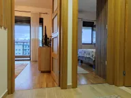 Izdavanje, jednosoban stan, 45m², Blok 9, Podgorica - image 7