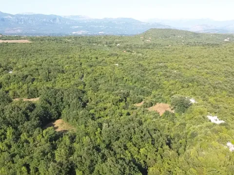 Prodaja, plac, 5031m², Danilovgrad, Crna Gora - image 4