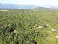 Prodaja, plac, 5031m², Danilovgrad, Crna Gora - image 4