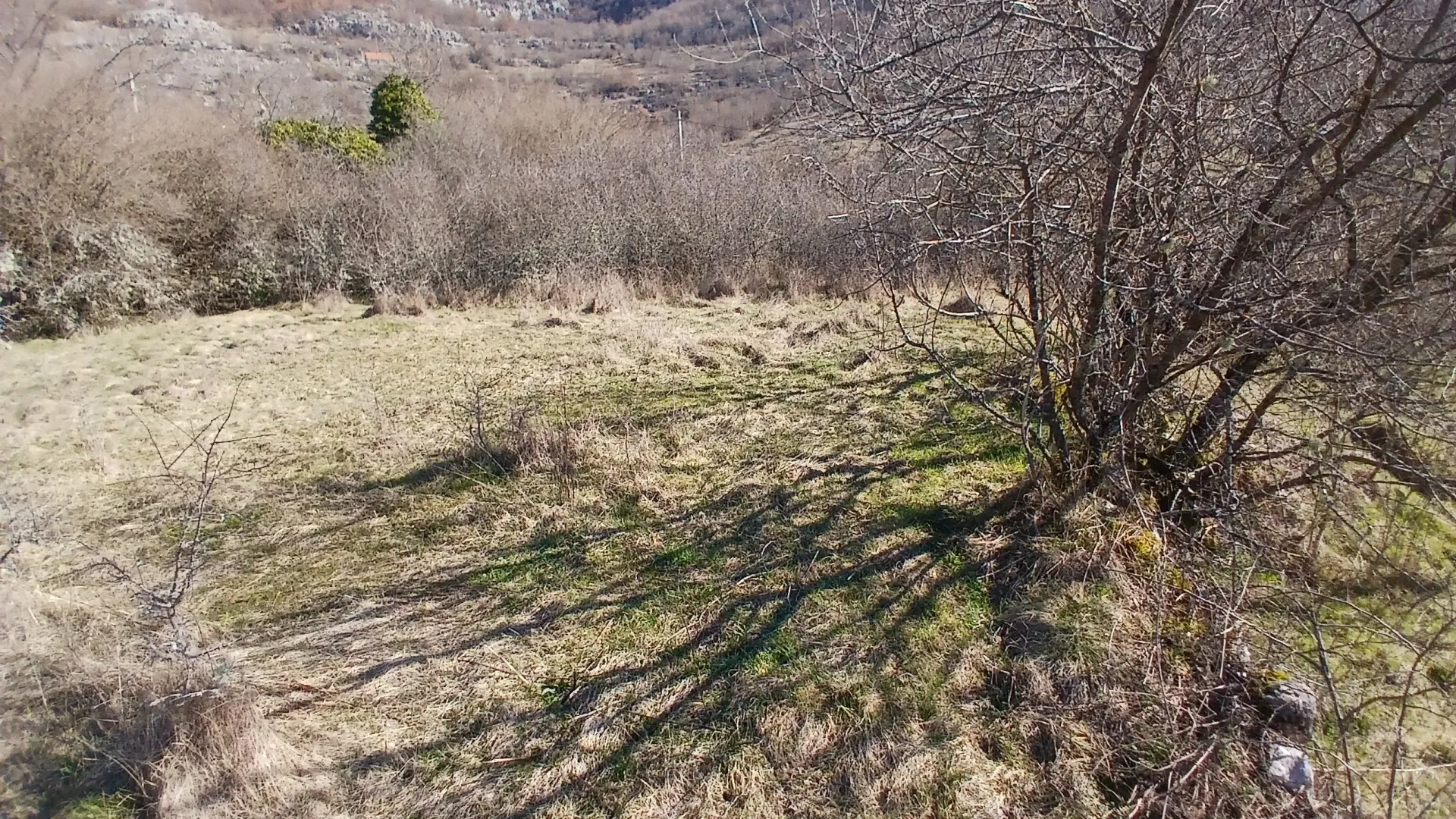 Prodaja, plac, 6256m², Čevo, Cetinje
